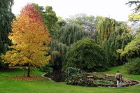 /album/kepgaleria/a6148504-jpg1/